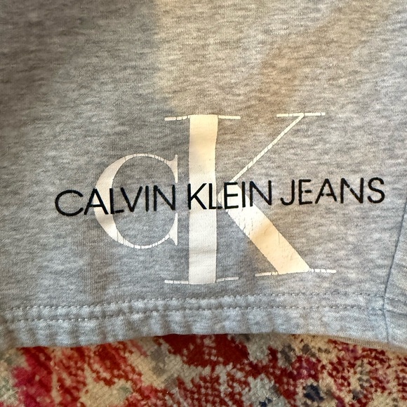 Calvin Klein Jeans Gray Men's Shorts - Picture 4 of 4